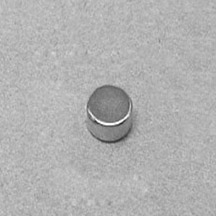 Neodymium Disc Magnets